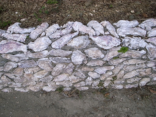 R0019447a.jpg R0019447a.jpg