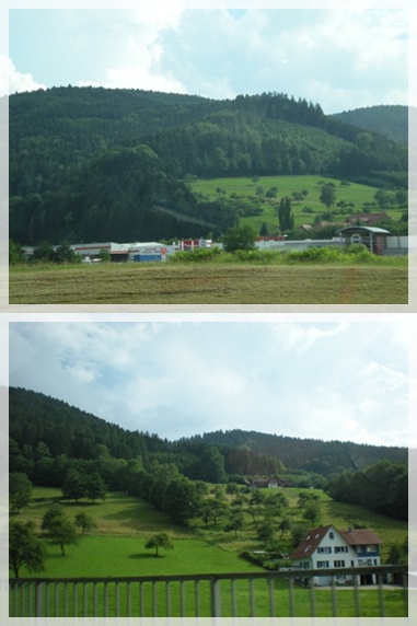 DSCN6289-vert.jpg DSCN6289-vert.jpg