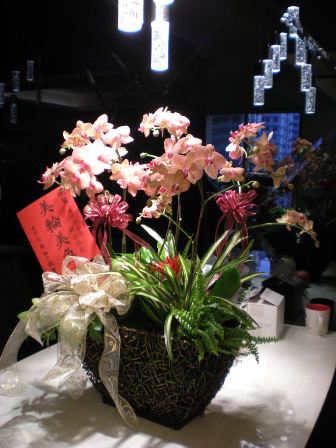 DSCN7763.JPG DSCN7763.JPG