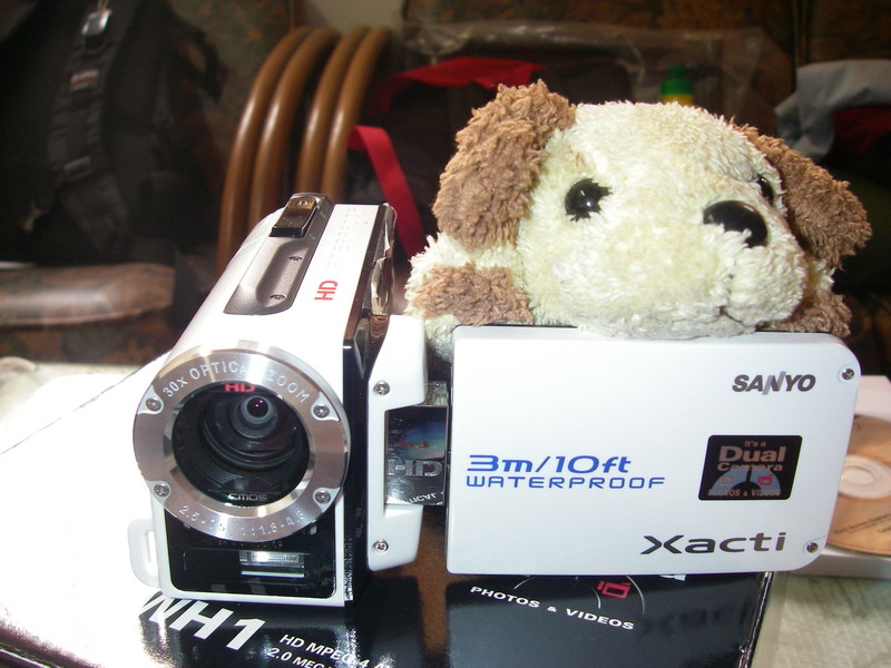 IMGP0019_大小 .JPG IMGP0019_大小 .JPG