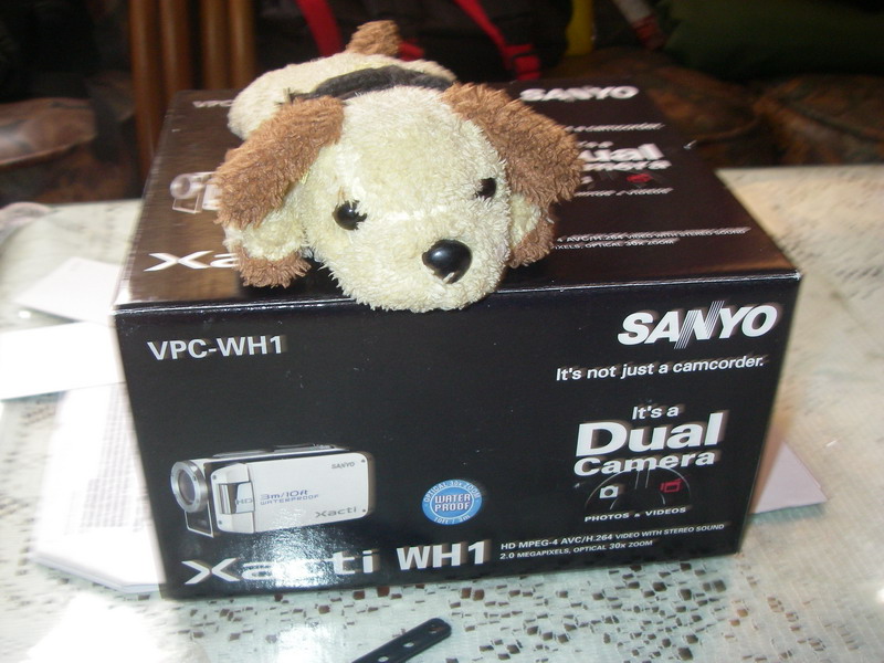 IMGP0002_大小 .JPG IMGP0002_大小 .JPG