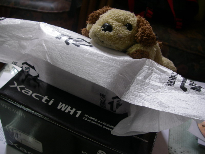 IMGP0010_大小 .JPG IMGP0010_大小 .JPG