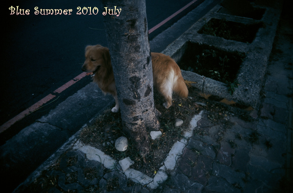 000027.BMP 000027.BMP