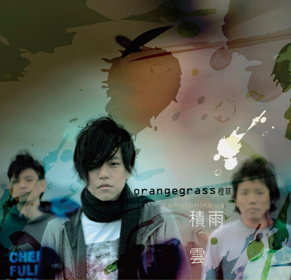 橙草.jpg 橙草.jpg