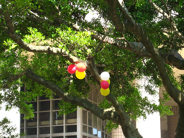 IMG_1741.JPG IMG_1741.JPG