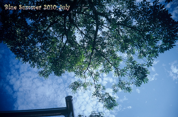 000020.BMP 000020.BMP