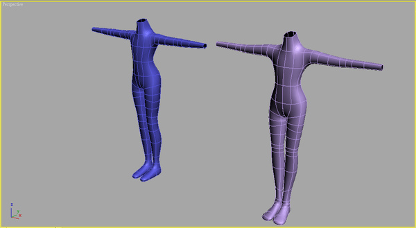 人體建模(透視圖)