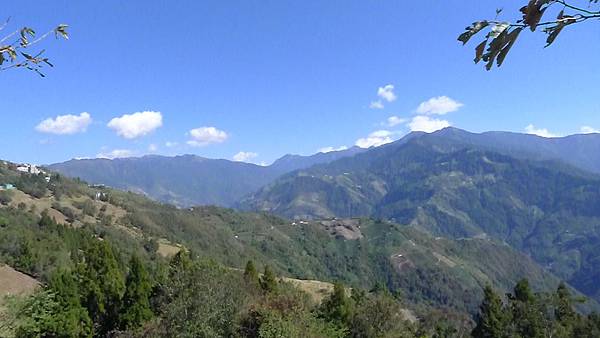 P1100875 P1100875