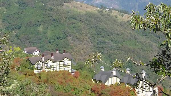 P1100901 P1100901