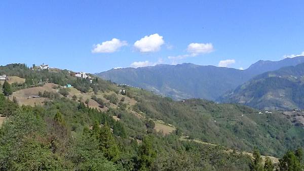 P1100874 P1100874
