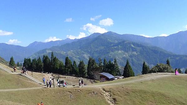P1100876 P1100876