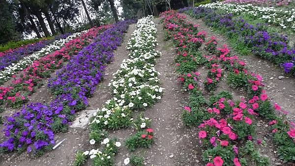 P1100744 P1100744