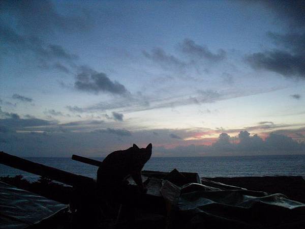 269522_231454343541824_1604134_n