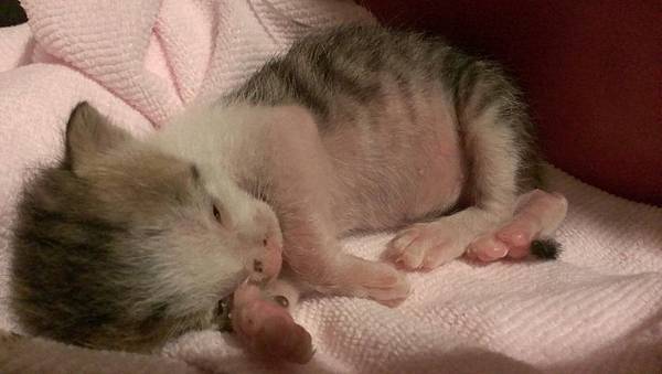 1167242_619742238046364_863081391_o