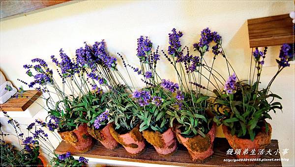 【食記/新北市】來與大自然做近距離的接觸♪♪西雅圖的天空♪♪ 【食記/新北市】來與大自然做近距離的接觸♪♪西雅圖的天空♪♪