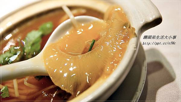 【食記/台北市】秋令進補,吃這超大塊的排翅就準沒錯♪♪橋園♪♪ 【食記/台北市】秋令進補,吃這超大塊的排翅就準沒錯♪♪橋園♪♪