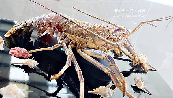 【宜蘭/礁溪】金車生物科技水產養殖研發中心─鮮蝦養殖場