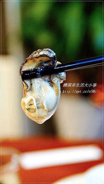 【食記/新北市】捷運美食~平價熱炒,道道都美味♪♪豪霸海鮮餐廳♪♪ 【食記/新北市】捷運美食~平價熱炒,道道都美味♪♪豪霸海鮮餐廳♪♪