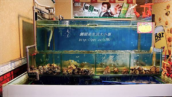 【食記/新北市】捷運美食~平價熱炒,道道都美味♪♪豪霸海鮮餐廳♪♪ 【食記/新北市】捷運美食~平價熱炒,道道都美味♪♪豪霸海鮮餐廳♪♪