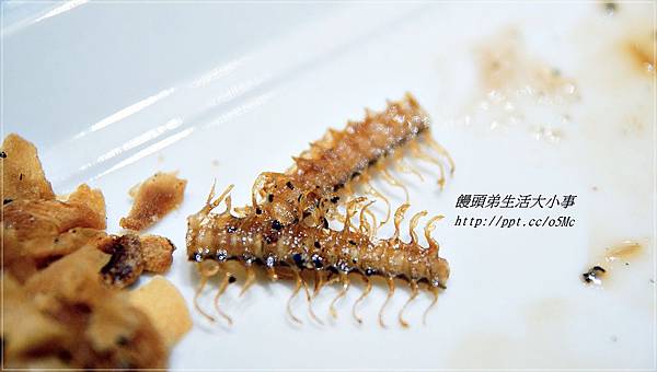 【食記/基隆】嚴選食材,料理出四季天然原始野性風味♪♪日橡日式鐵板料理♪♪ 【食記/基隆】嚴選食材,料理出四季天然原始野性風味♪♪日橡日式鐵板料理♪♪