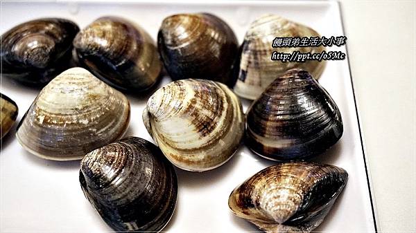 【食記/台北市】白金牛肉CP值高,吃到飽火鍋饗宴♪滿堂紅頂級麻辣鴛鴦火鍋♪ 【食記/台北市】白金牛肉CP值高,吃到飽火鍋饗宴♪滿堂紅頂級麻辣鴛鴦火鍋♪