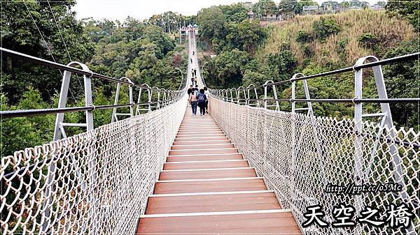 【南投/南投市】漫步在雲端，一探猴探井天梯的美景♪♪天空之橋♪♪