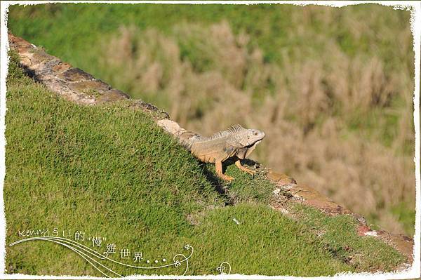 Castillo San Cristóba