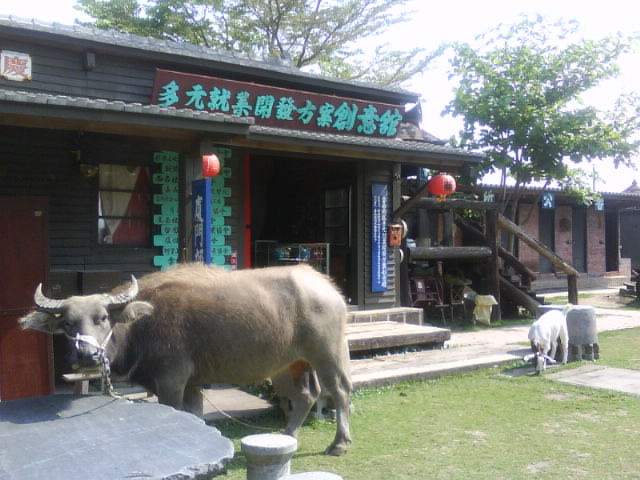 DSC05632.JPG DSC05632.JPG