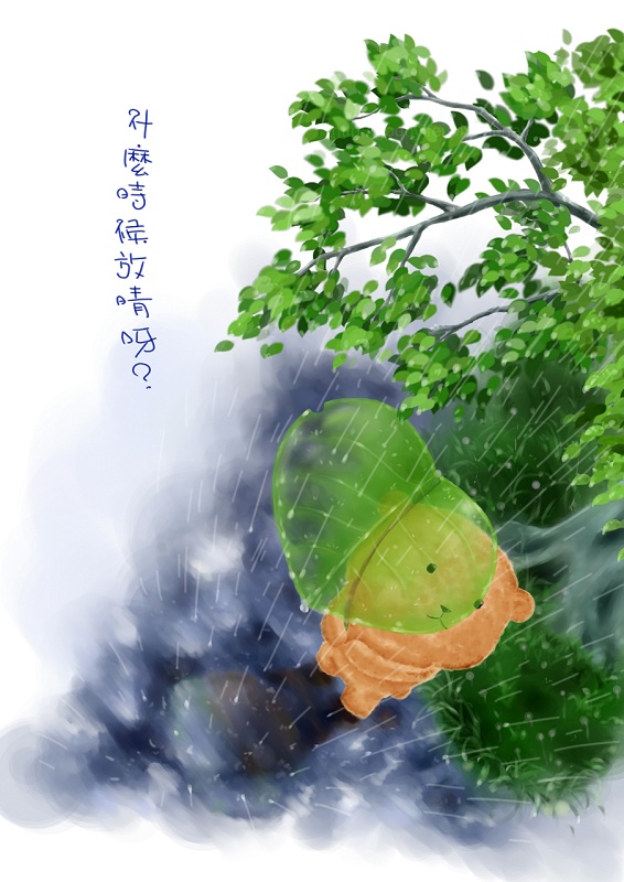 rain1-800-1.jpg rain1-800-1.jpg