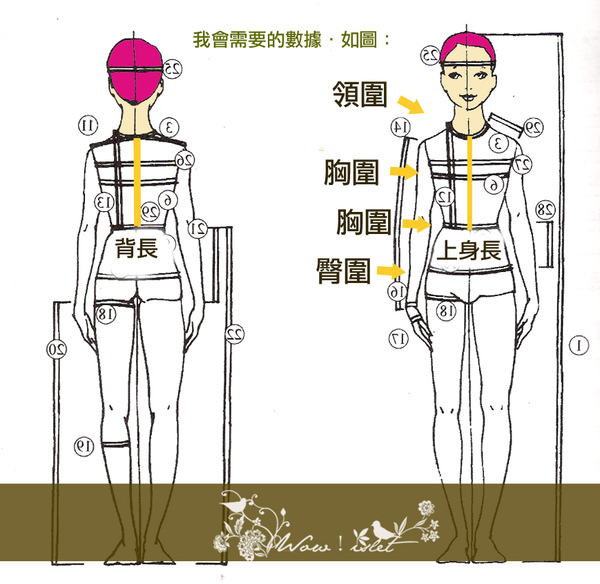 量身圖.jpg