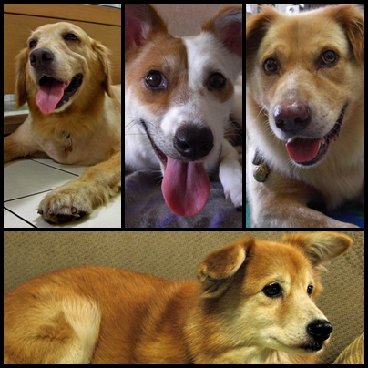 合照.jpg 合照.jpg