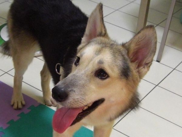 小可愛04.jpg 小可愛04.jpg