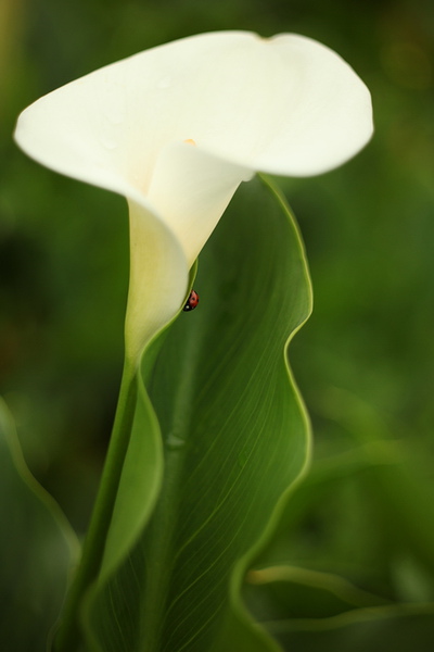 IMG_1459.jpg IMG_1459.jpg