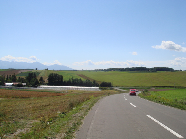 DSC02241.JPG