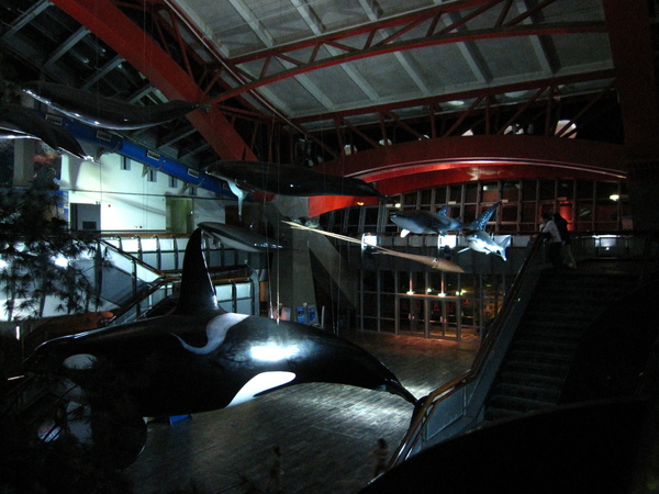 IMG_2326.JPG