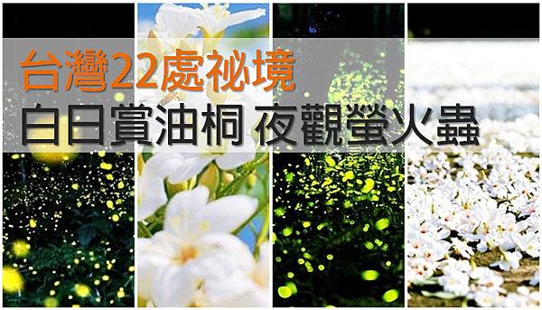 公益旅館_油桐花_螢火蟲