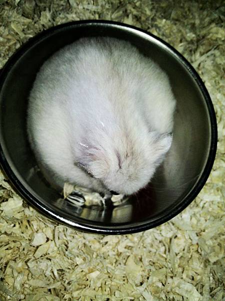 C360_2012-09-01-23-09-11 C360_2012-09-01-23-09-11