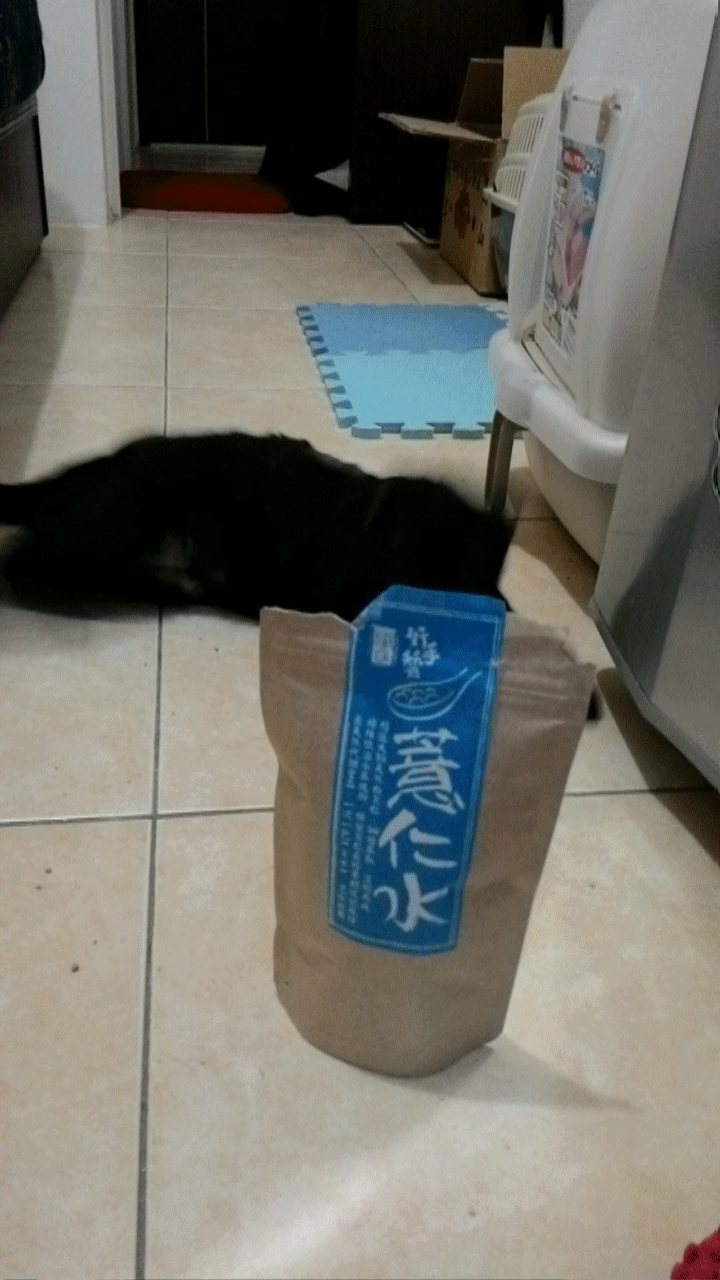 【開箱】最夯易珈生技薏仁水、最hito的美妝用品 盡在小三美日平行輸入 - 第7張圖