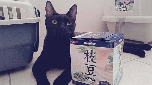 C360_2014-07-27-14-07-38-510