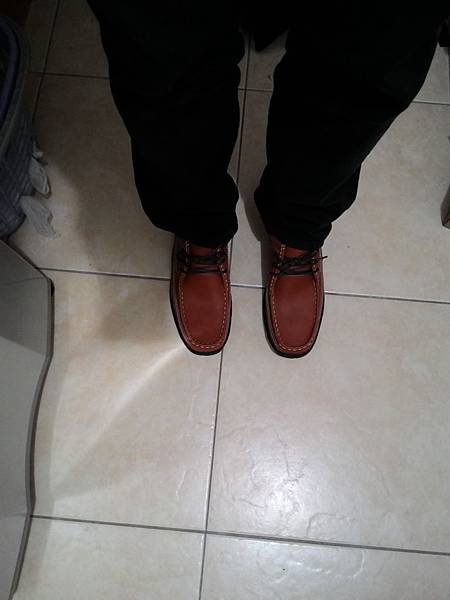 P_20141024_214321.jpg P_20141024_214321.jpg