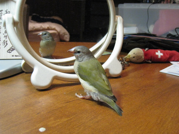 IMG_3225.JPG IMG_3225.JPG