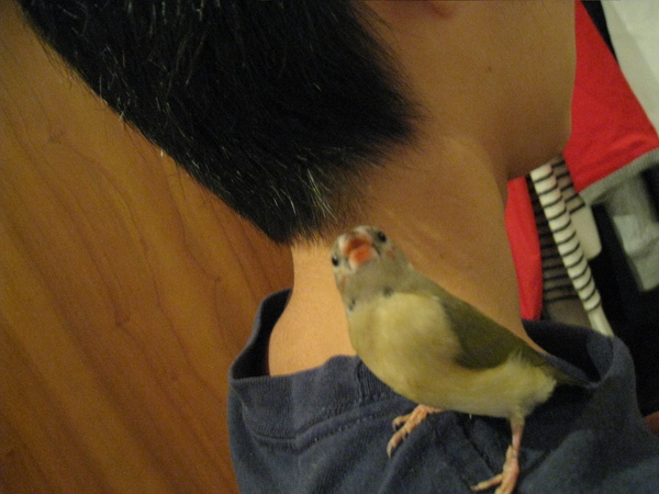 IMG_3228.JPG IMG_3228.JPG