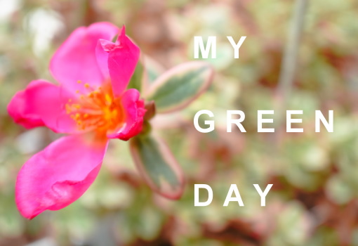 my green day.jpg