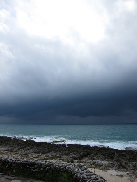 IMG_0614-1.JPG IMG_0614-1.JPG