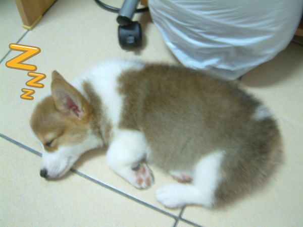 相片小畫家上傳