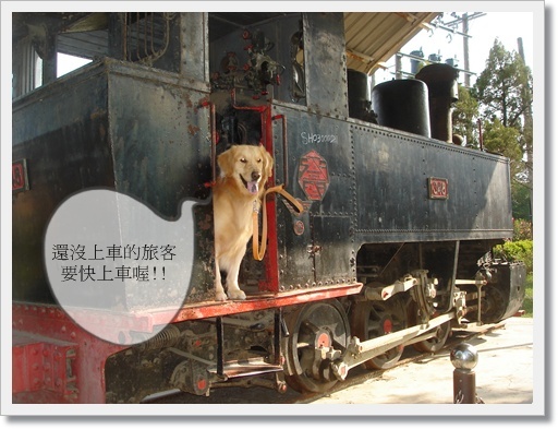 我搭火車   請槍請槍.JPG