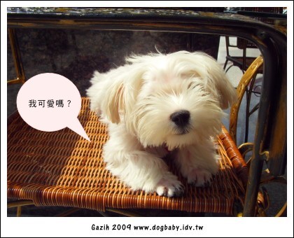 20090311.jpg 20090311.jpg