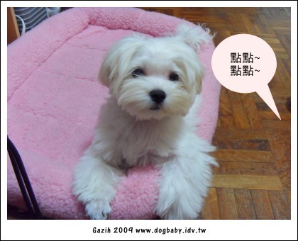 20090315.jpg 20090315.jpg