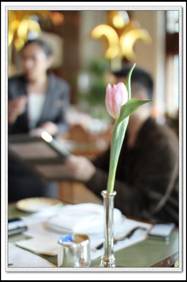 IMG_5368.JPG IMG_5368.JPG