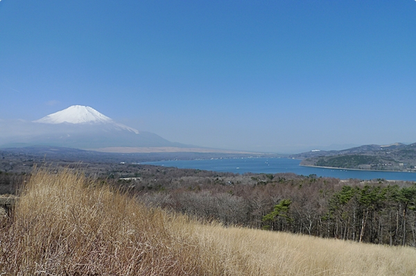 春天的富士山 (1)